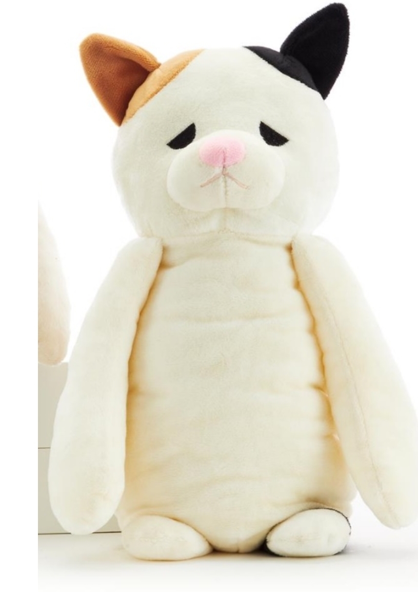Cat stuffed animal.jpg